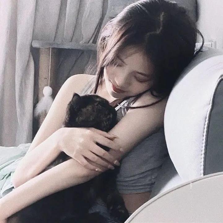 嫌猪手事件簿